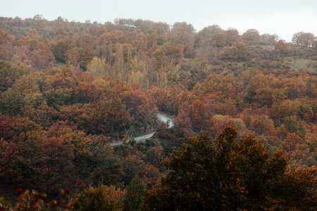 季节冷静的山地公路穿越秋色的林区环境图片