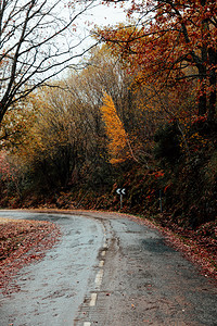 山地公路穿越秋色的林区信号旅行森图片