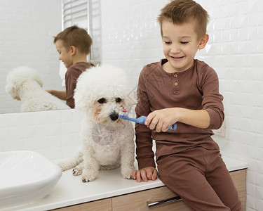 身体男孩帮助他的狗把牙刷回家织物水果图片