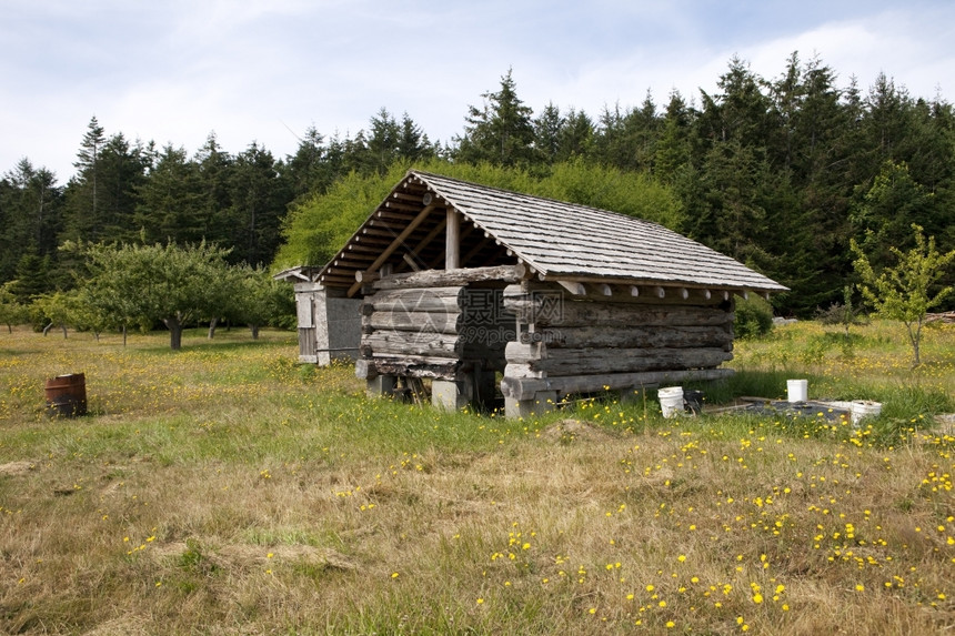 建筑学森林木头正在华盛顿州一个偏远岛屿上的一个农场重建座旧谷仓该由用泥土烤成的原木制目前正在重建中图片