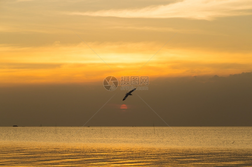 天空黄色的夜里鸟儿在海中飞翔太阳落下之日的夜晚落图片