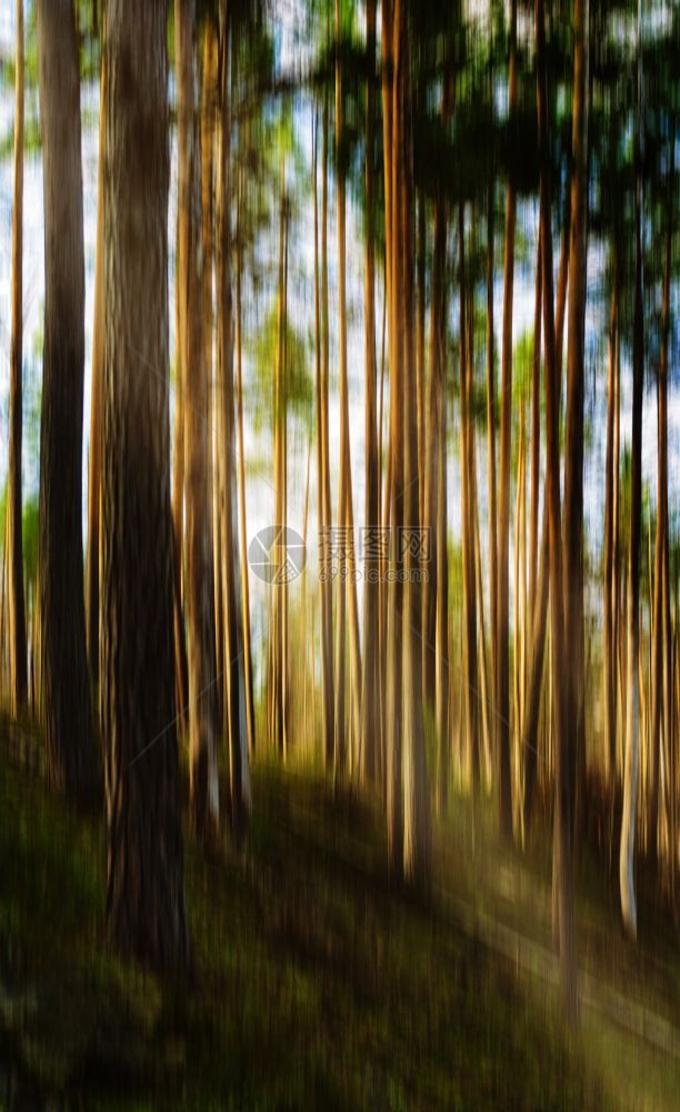 中等的具有漏光抽象背景的垂直生动运树景观具有漏光抽象的垂直生动运树景观木头速度图片