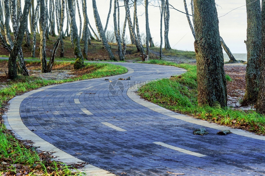 自然假期积极的骑自行车旅在乡村沿着海边骑自行车在乡村骑自行车旅图片