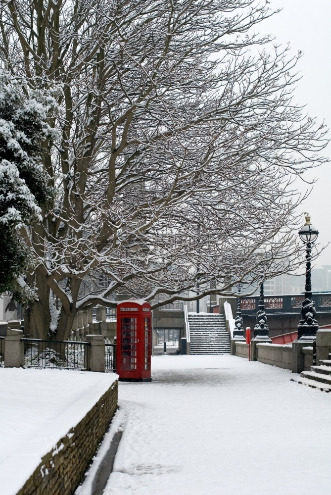 展位树街道在英格兰伦敦寒冬日路边一个红色电话箱在一个冷寒的温特尔斯柯克日图片