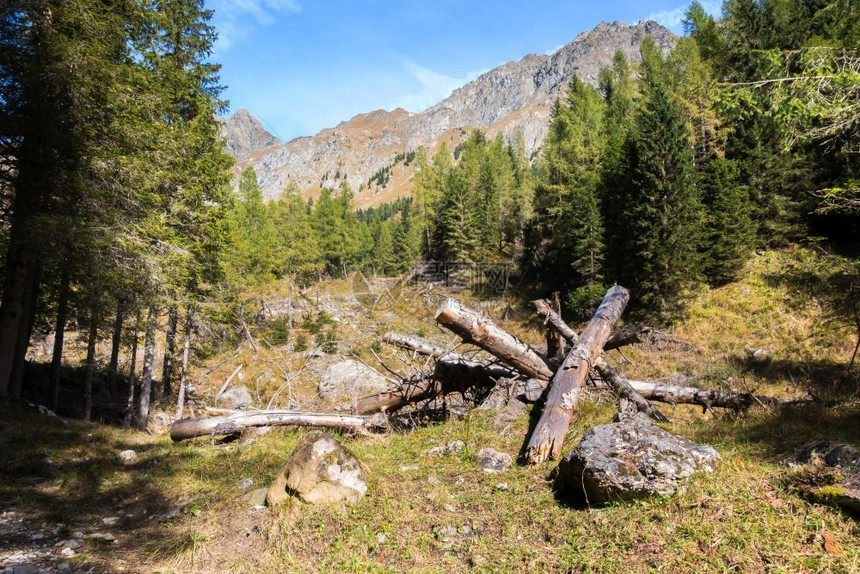 阿尔卑斯山脉意大利弗里阿尔卑斯山Friuli远足健康旅行图片