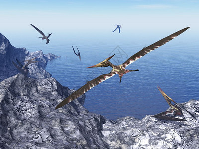 岩石花上飞的鸟儿在美丽一天中3D转化无齿翼龙沿海图片
