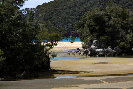 被植被包围的海滩图片