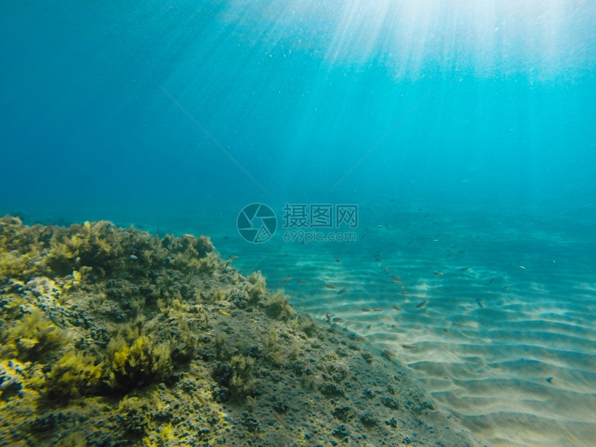 爱奥尼亚海水下风景哥普射中海生活蓝色的图片