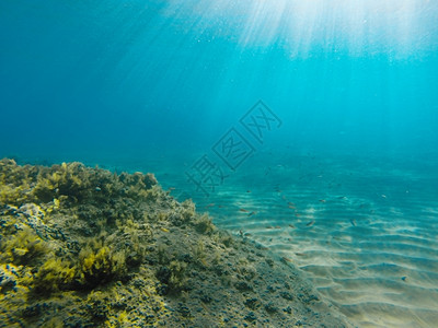 贝雷戈夫爱奥尼亚海水下风景哥普射中海生活蓝色的背景