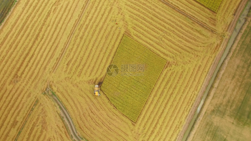 最佳农田在泰国Ayutthaya的收割田上合并空中观察气图片