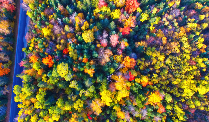 秋天假期横穿森林带树叶颜色的跨越森林道路空中飞越照片图片