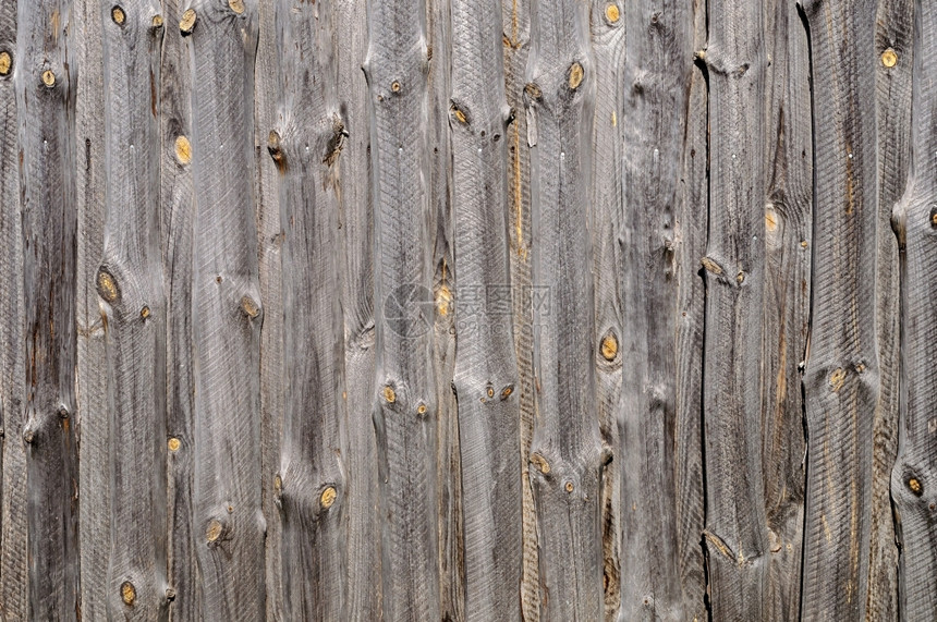 板坯老的裂缝关闭天然未油漆的粗木板背景环境图片