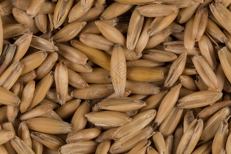素食主义者种子以天然燕麦为背景近距离拍摄健康图片