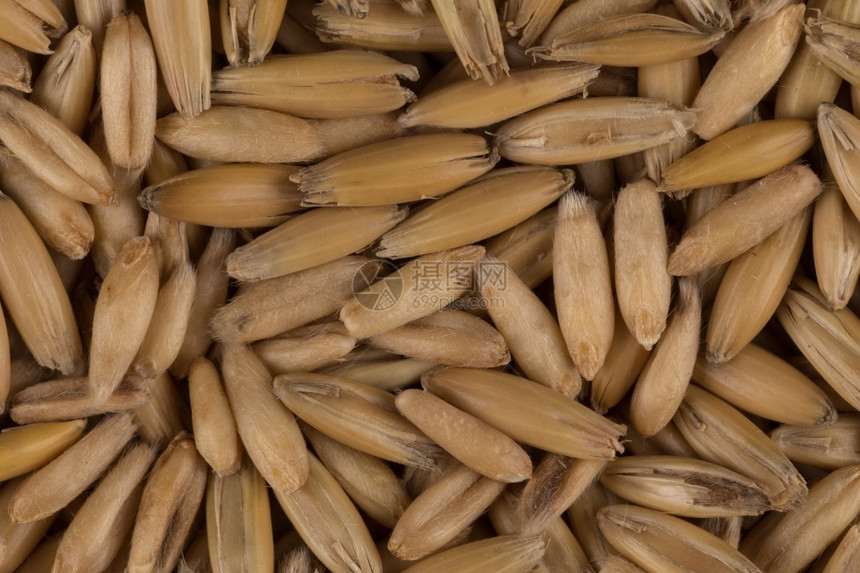 质地玉米烹饪以天然燕麦为背景近距离拍摄图片