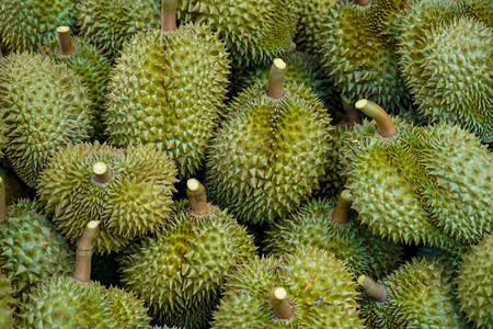 亚洲甜点的Durian型式背景打盘随意调整泰国水果图片
