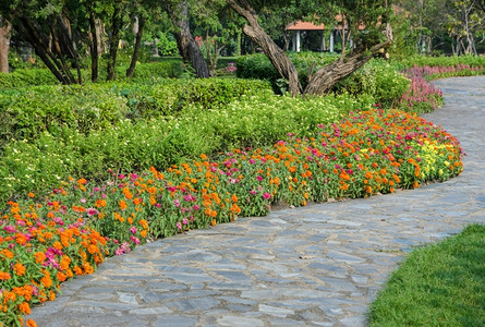 多彩的花盆园有石质通道路线新鲜的盛开图片