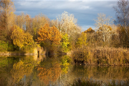 Germnay湖附近的秋天风景日耳曼奈明亮的树木图片
