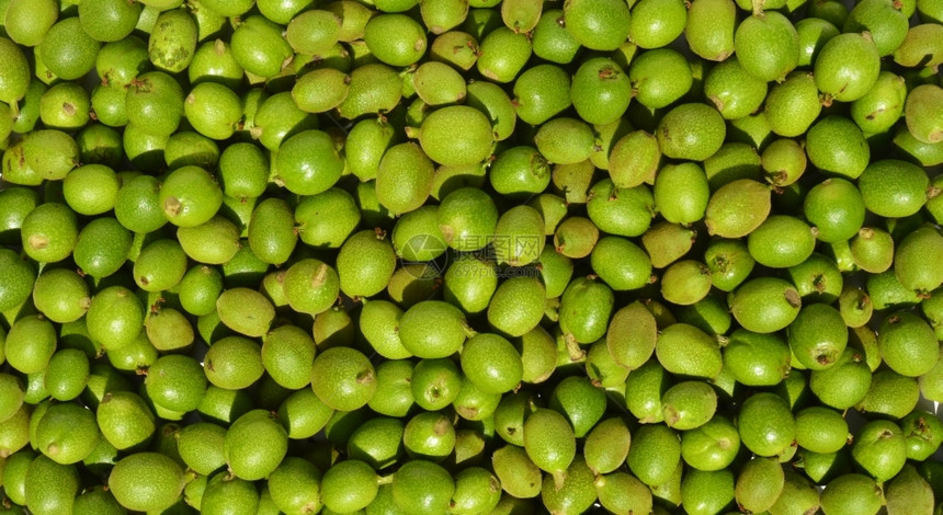 营养新鲜水果有很多绿色的年轻胡桃树在壳中作为背景图片