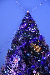 天气圣诞树节上多姿彩的圣诞装饰品松树季节图片