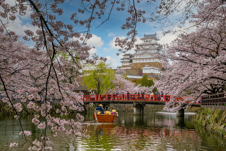日本的冰木城堡和全樱花旅游著名的保持图片