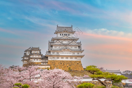 观光开花日本的冰木城堡和全樱花风景优美图片
