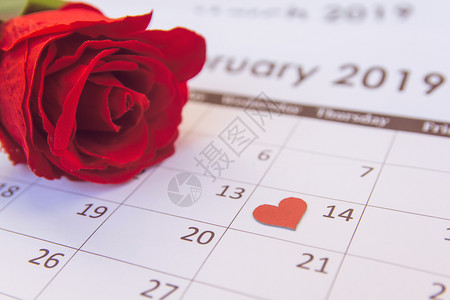 最高级优秀的细节2月14日情人节红玫瑰心在日历页面上复制空间象征背景