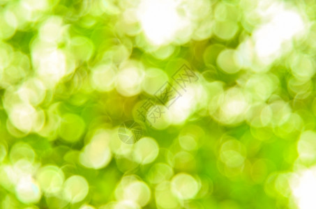 绿色有Greenbokeh抽象光背景镜片图片