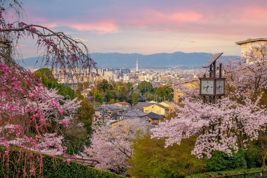 在日落的光季节在仓期间旧城京都关西樱花建筑学图片