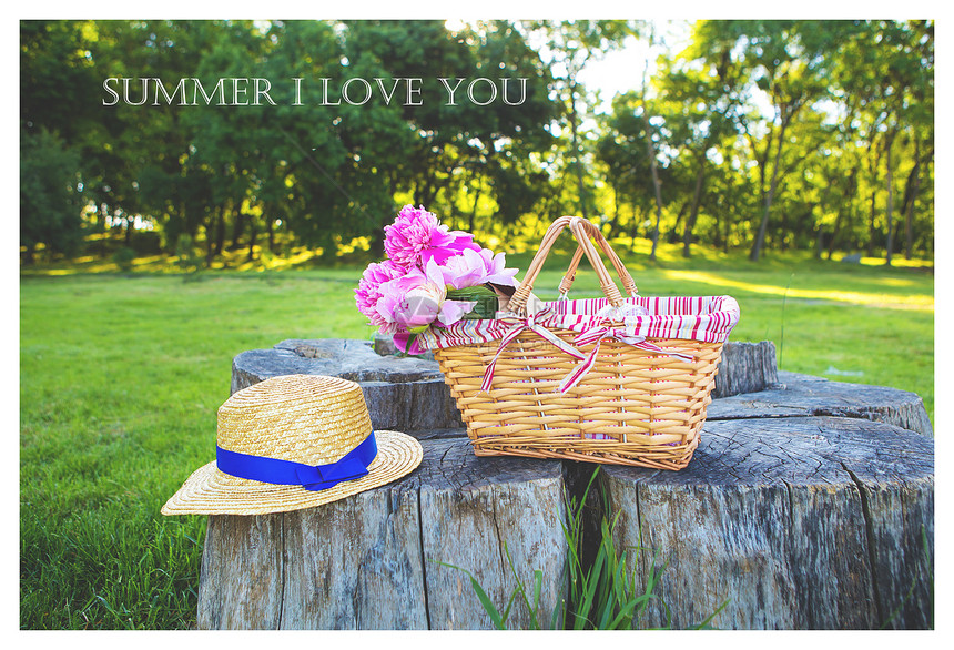 美丽的草帽和鲜花在一个篮子摊上在木立柱的夏日我爱你明亮的夏日野餐花园天葡萄酒图片