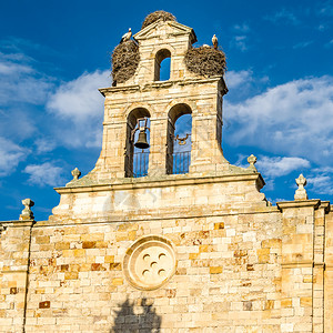 欧洲镇在西班牙萨莫拉卡斯蒂利亚和里昂的塔上出现了一座老罗马式教堂巢图片