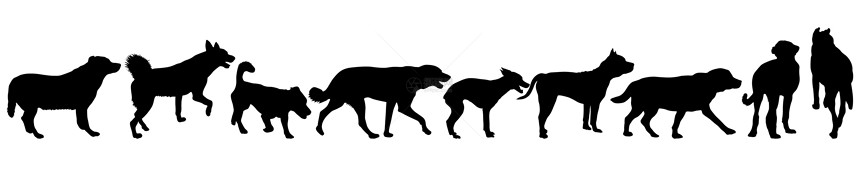 国内的宠物设置白色背景的黑软狗Set白色背景的双周黑狗Setsirhouette夹子图片