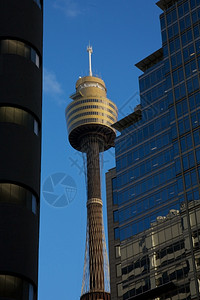 餐厅反思天空市府悉尼AMP塔的AMP市内悉尼由办公大楼环绕图片
