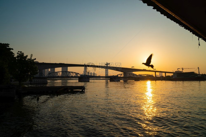 鸟结构体水清晨天亮时起桥清晨在曼谷市的河边上图片