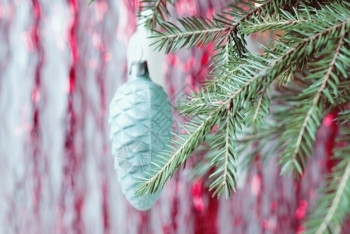 圣诞树枝装饰玩具和落雪枞树礼物假期图片
