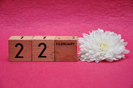 雏菊一种2月日用粉红背景的白Aster木制块绽放图片