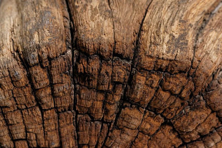 斯克莱兹涅夫股票原始古董木立板表面自然抽象的原状木质纹理制的图片