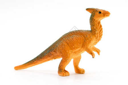 白色背景的paraaurolopophus恐龙玩具模型云栉属危险图片