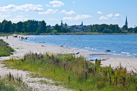 塔林海滩的其背景是城市风波浪场爱沙尼亚图片