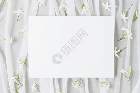 业务丰富多彩的框架用茉莉木耳花围巾包的婚礼白色标语牌图片