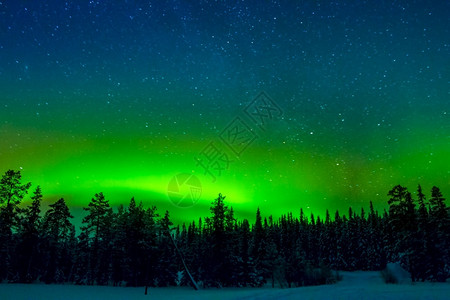 极光繁星和雪景森林图片