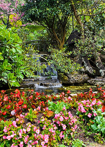 公园带有瀑布的动物花园海棠科瓣图片