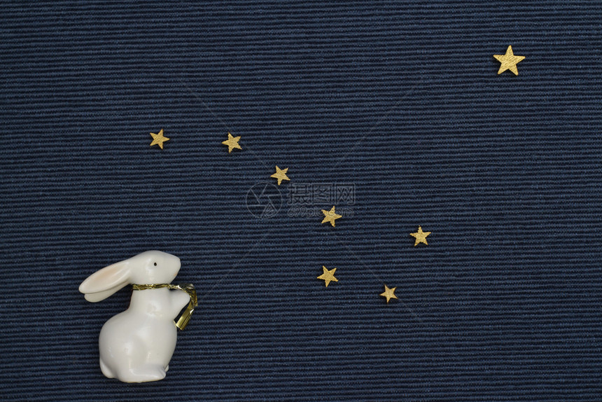 白兔看着星空图片
