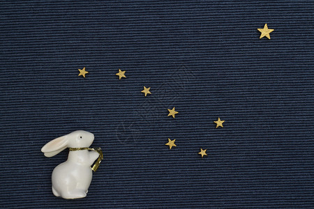 白兔看着星空图片