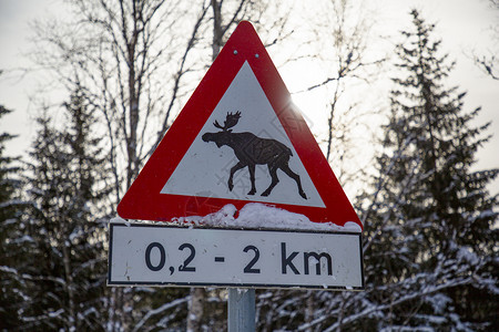 斯堪的纳维亚北方挪威的公路标志警告说冬天有驼鹿离路图片