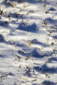 冬季积雪使草地渡过冬季的风户外漂移太阳的图片
