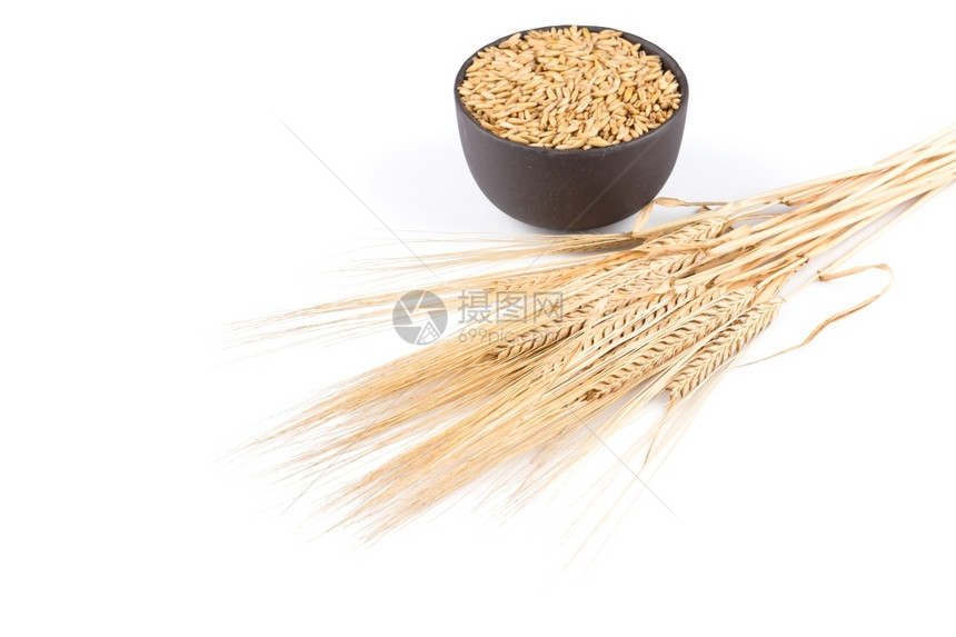 陷害白背景孤立的小麦耳数自然食物图片