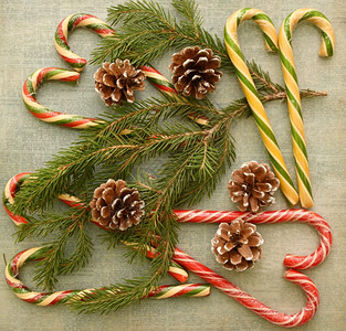颜色或者新的圣诞焦糖或甘蔗一种普通的生菜和卷瓜分枝高清图片