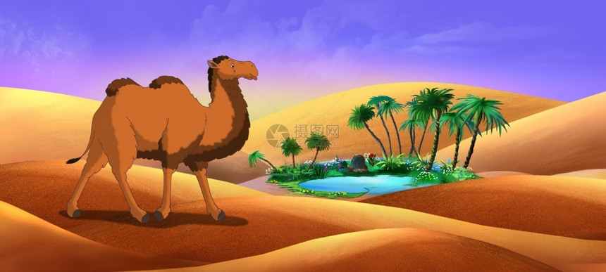 跑步沙漠绿洲中的Bactrian骆驼数字画全色插图黄的夏天图片