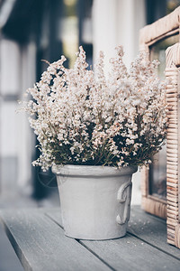 站在户外木制桌边的白色花朵上夏天自然季节图片