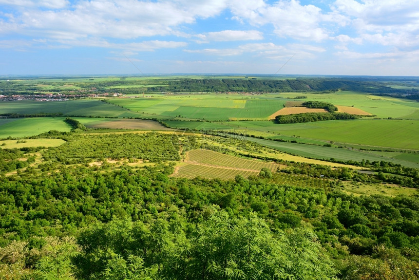 捷克中山地貌景观波西米亚风格丰富多彩的森林图片